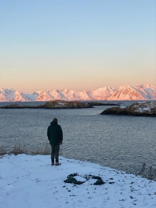 Bluebird Henningsvaer
